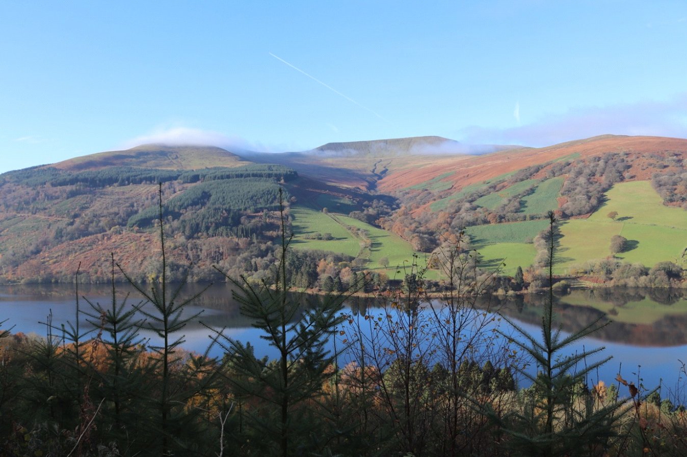 Tor y Foel 2021